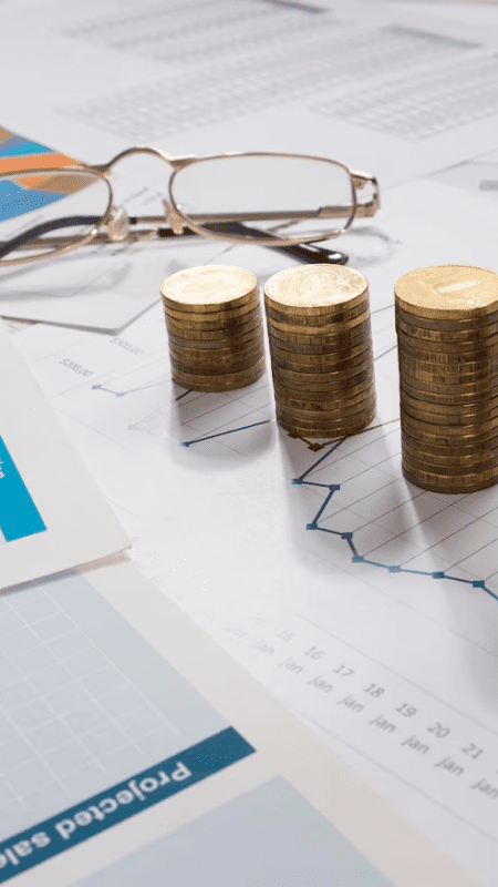 Gestão Financeira